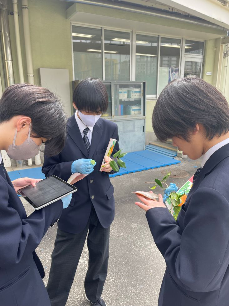 理科探究